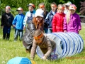 Kindertag2012-22