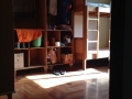 Foto 2-26